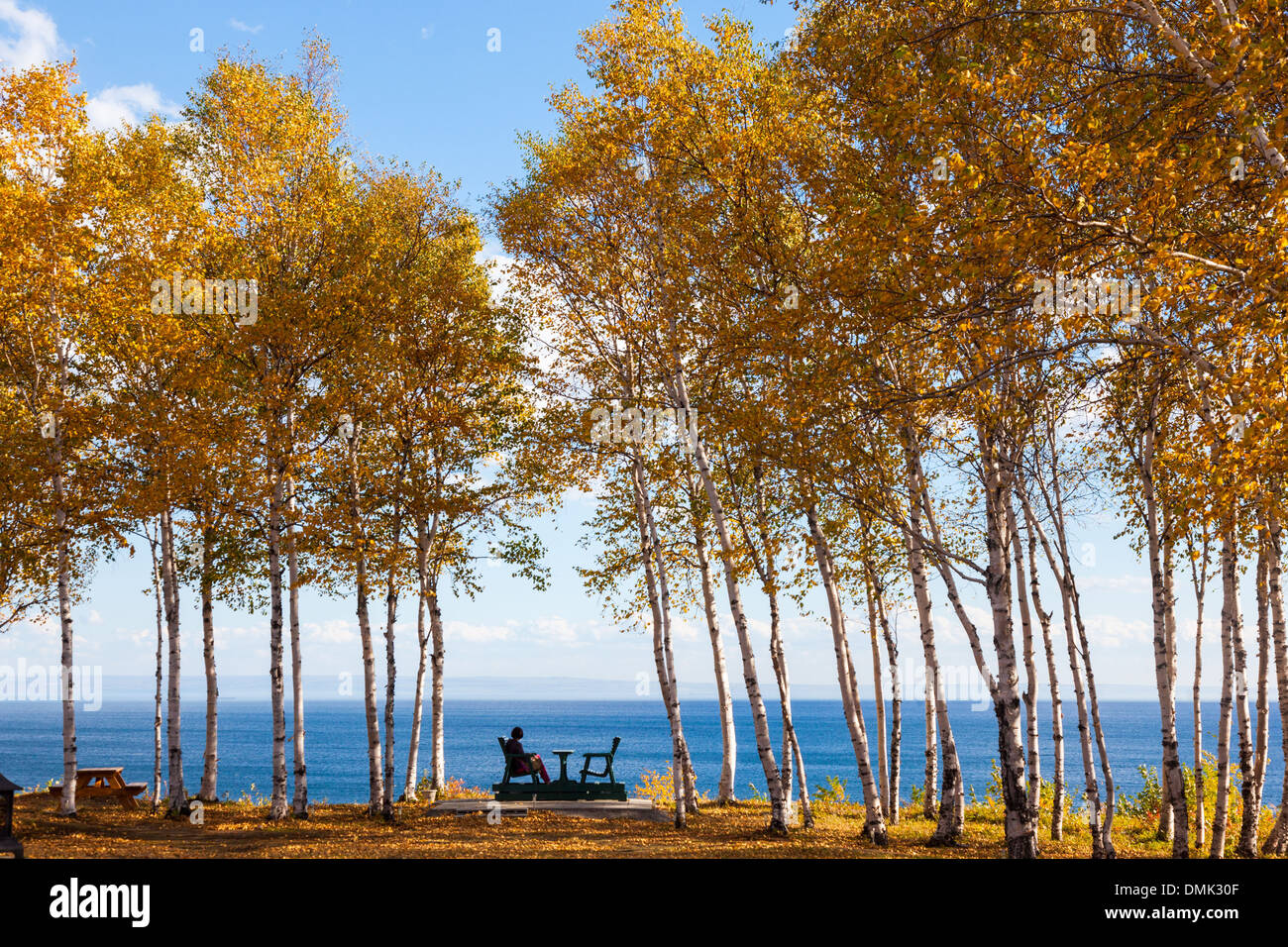 Persona su un banco di fronte al fiume San Lorenzo, Saguenay, lago St Jean, estate indiana, i colori autunnali, Quebec, Canada Foto Stock