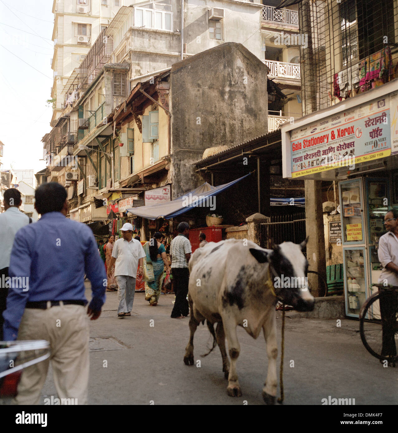 Scena di strada in Mumbai Bombay nel Maharashtra in India in Asia del Sud. Stile di vita urbano vacca sacra indiana viaggi baraccopoli Wanderlust evasione Foto Stock