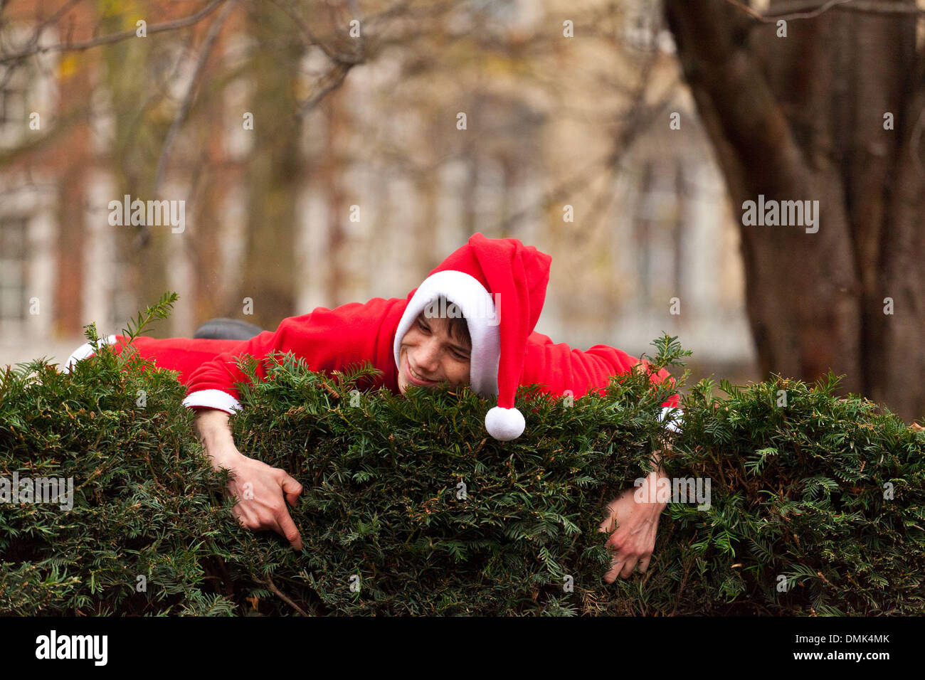 Londra, Regno Unito. 14 dicembre 2013 un partecipante del SantaCon annuale incontro tenta di saltare su di una siepe in Grosvenor Square Gardens al di fuori dell'ambasciata statunitense. Credito: Nelson pereira/Alamy Live News Foto Stock