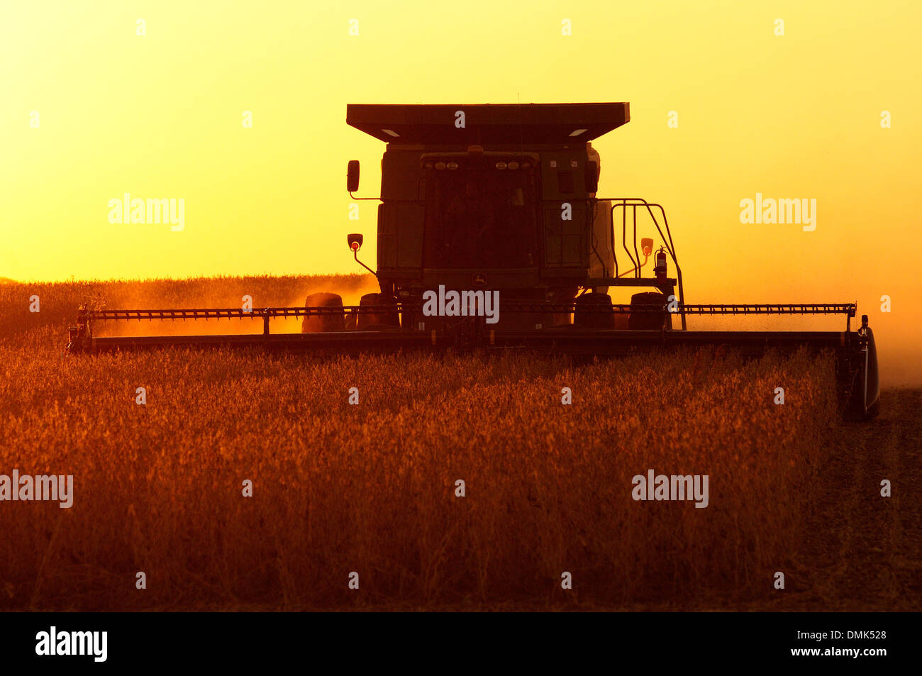 Una mietitrebbia John Deere il raccolto di soia al tramonto Foto Stock