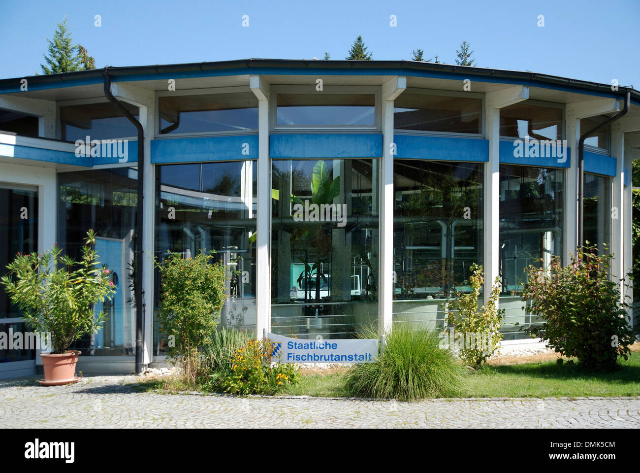 Membro Fish Hatchery dello Stato libero di Baviera in Nonnenhorn presso il lago di Costanza. Foto Stock