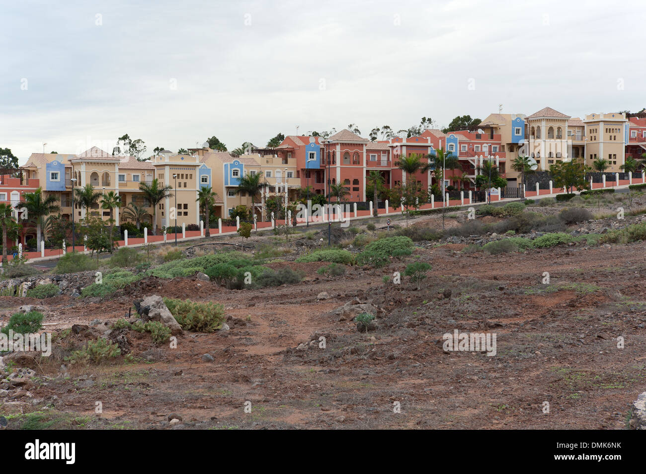 Tenerife, Isole Canarie, Spagna Foto Stock