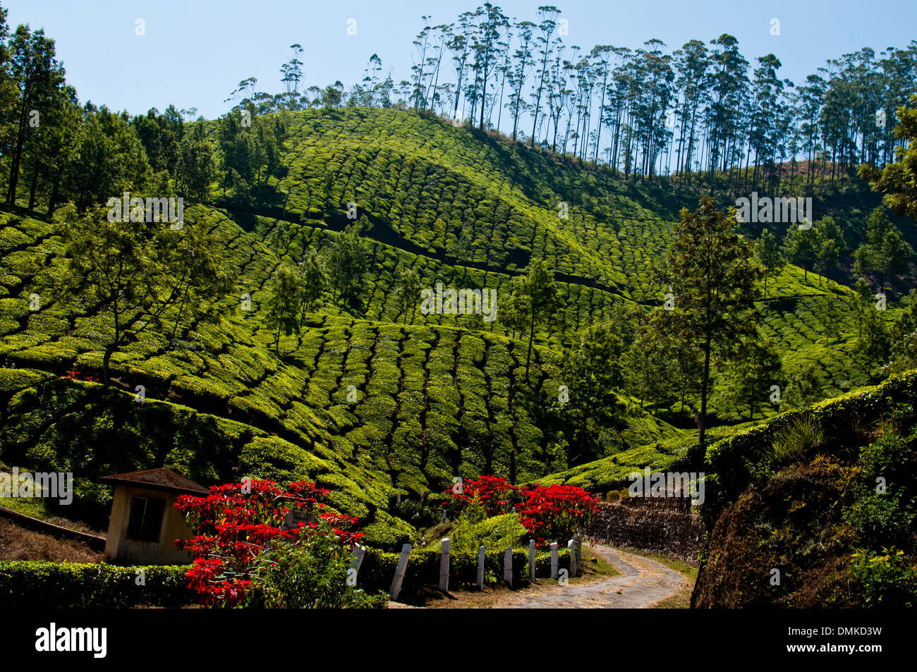 colline-profilate-immagini-e-fotografie-stock-ad-alta-risoluzione-alamy