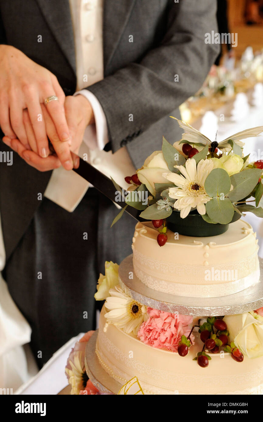 Il taglio della torta di nozze Foto Stock