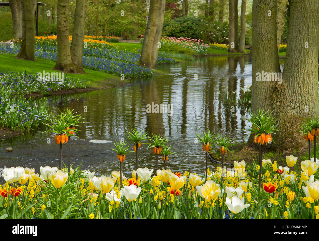 Spring Garden Keukenhof, Paesi Bassi Foto Stock