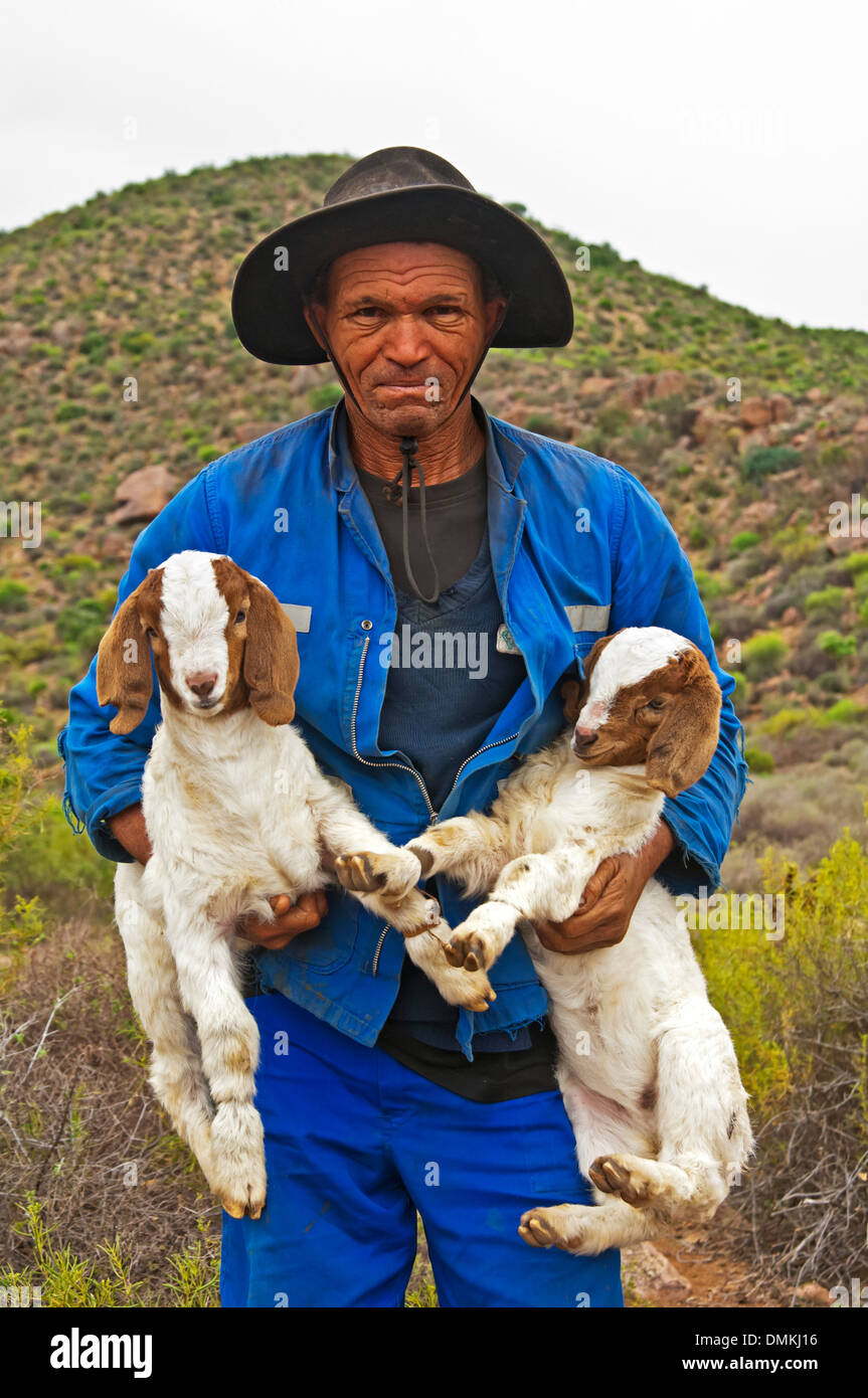 Nama capra herder carryign due Boer goatlings, vicino Kuboes, Richtersveld, nel nord della provincia del Capo, in Sud Africa Foto Stock