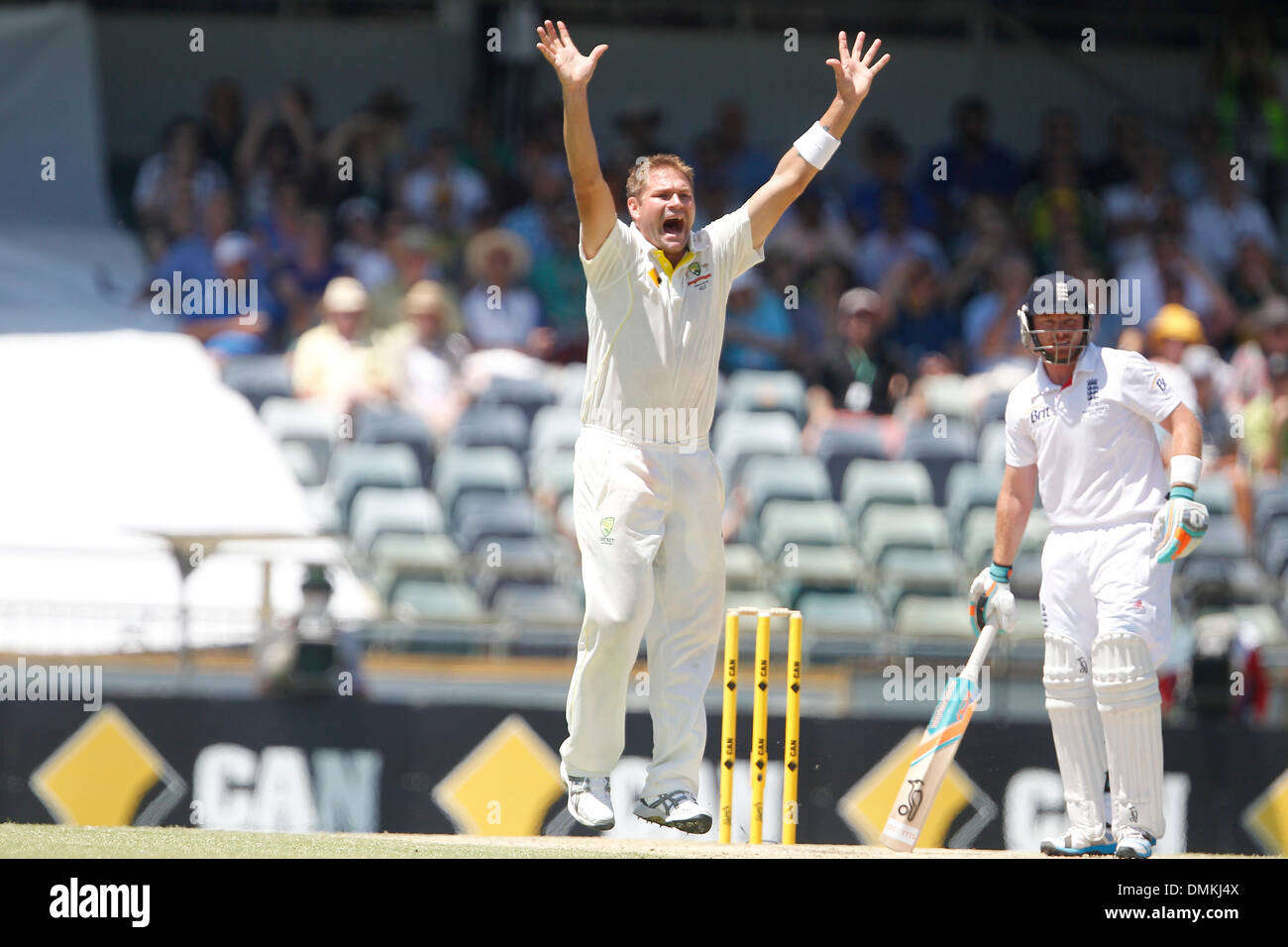 WACA, Perth, Australia. 15 Dic, 2013. Ryan Harris appelli per il paletto tra Inghilterra e Australia 3° Ceneri Test svoltosi a Perth al WACA , WA , Australia. Credito: Azione Sport Plus/Alamy Live News Foto Stock