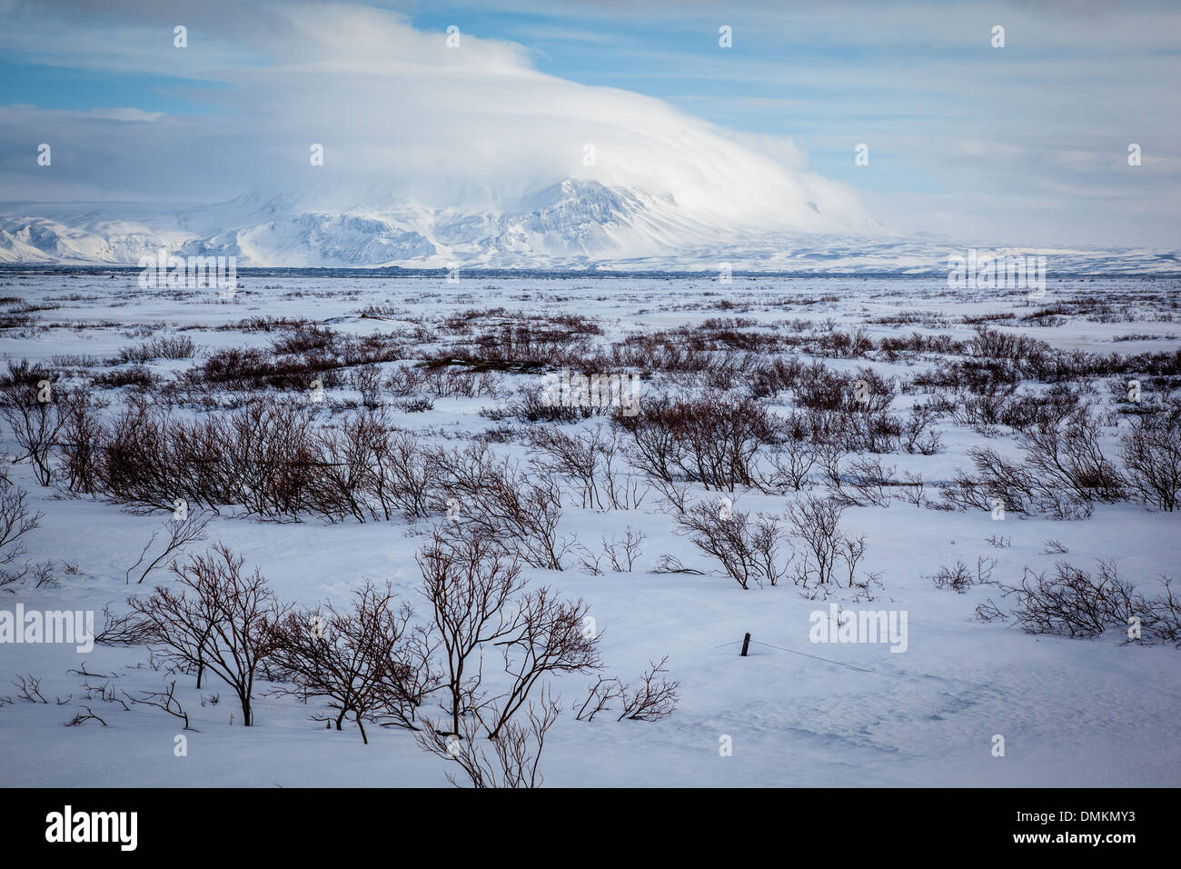 Regione del Lago Myvatn, Nord Islanda, EUROPA Foto Stock