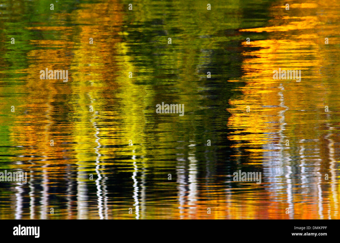 Foglie di autunno riflettendo in acqua Foto Stock