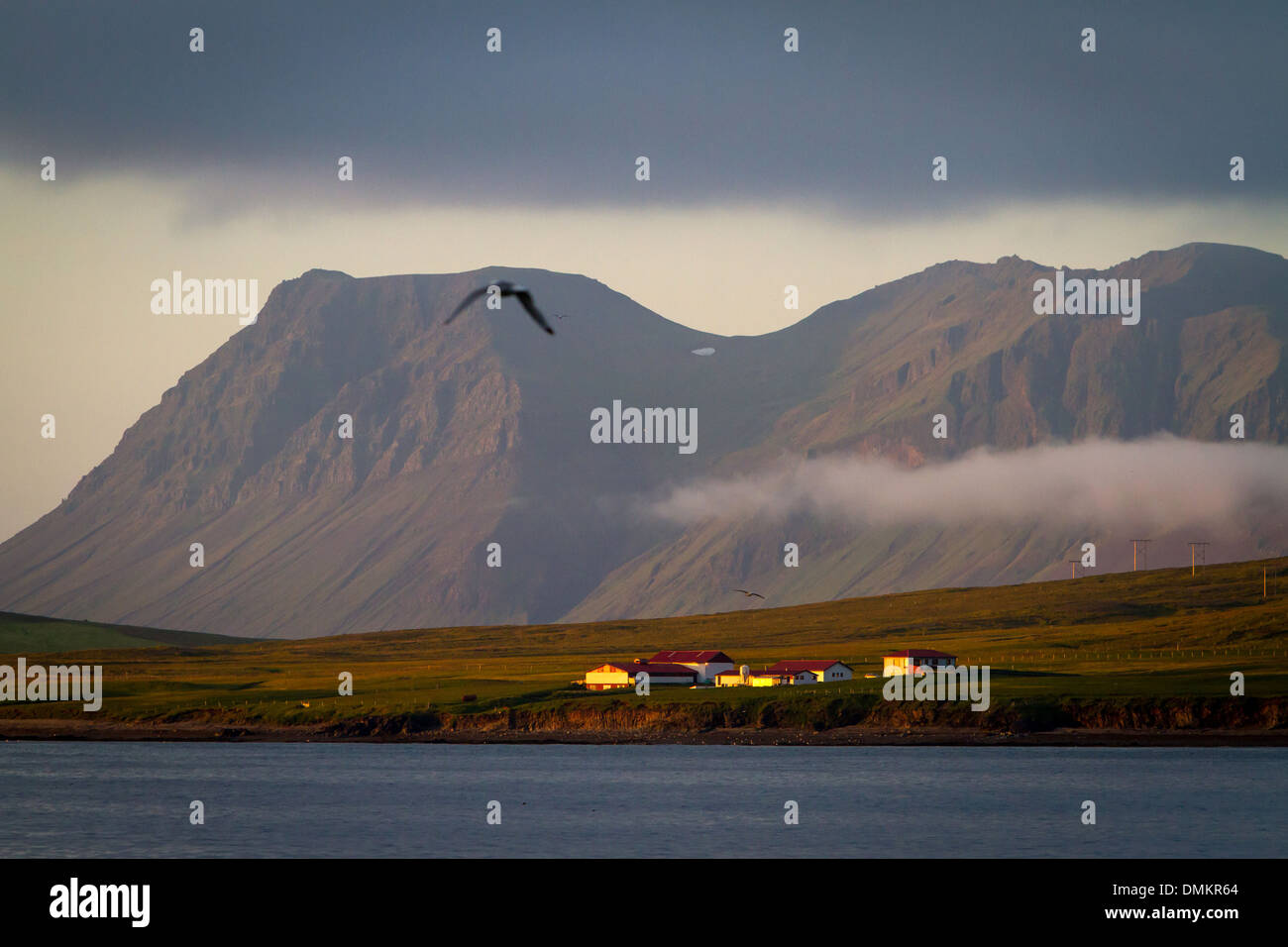 Azienda Agricola da un fiordo ai piedi di un vulcano, vicino GRUNDARFJORDUR, SNAEFELLSNES PENINSULA, WESTERN ISLANDA, EUROPA Foto Stock