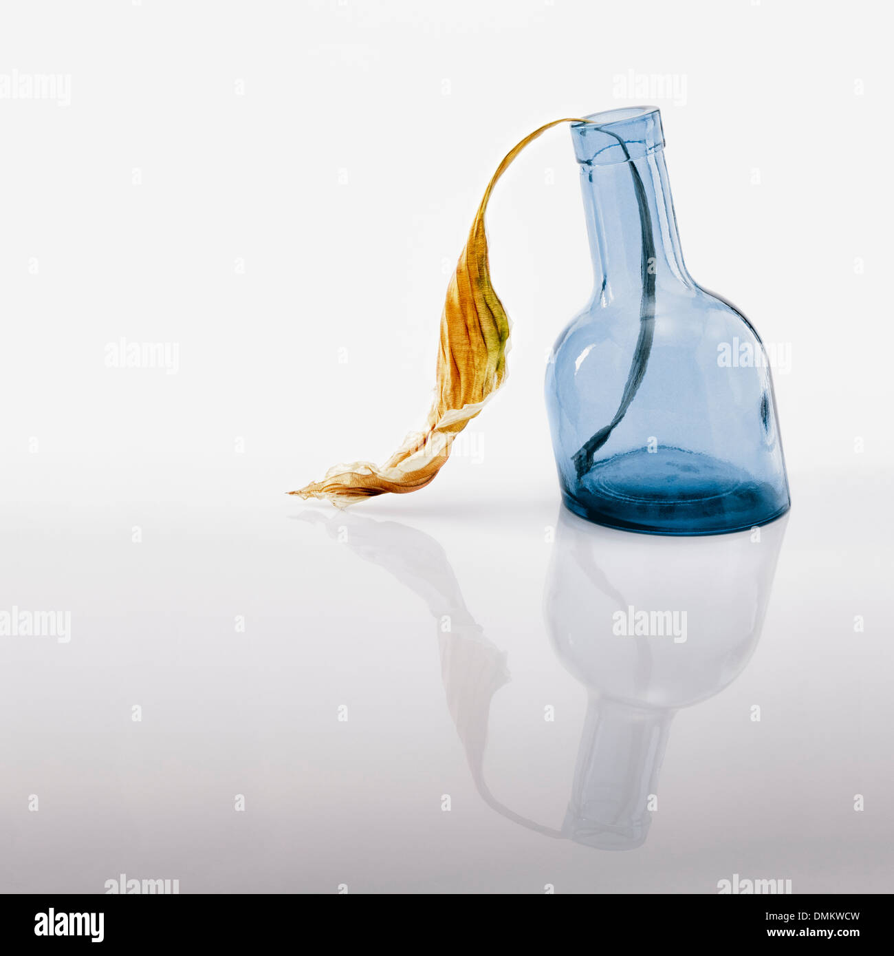 Blu decorativo vaso di vetro con foglia secca Foto Stock