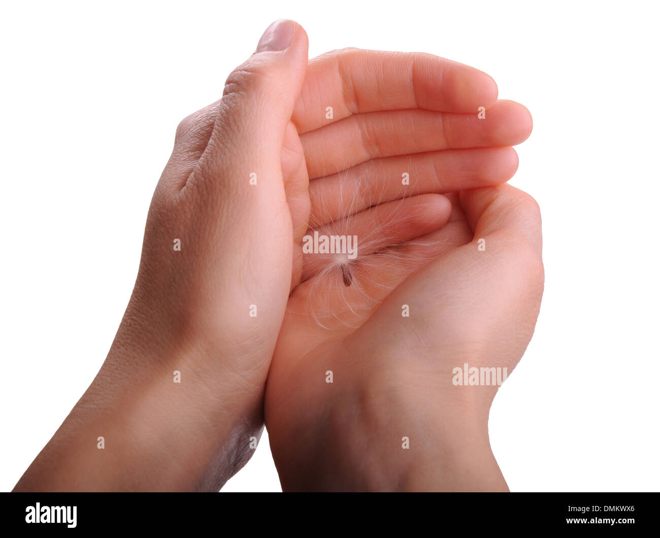 Seme con paracadute nelle mani della donna Foto Stock