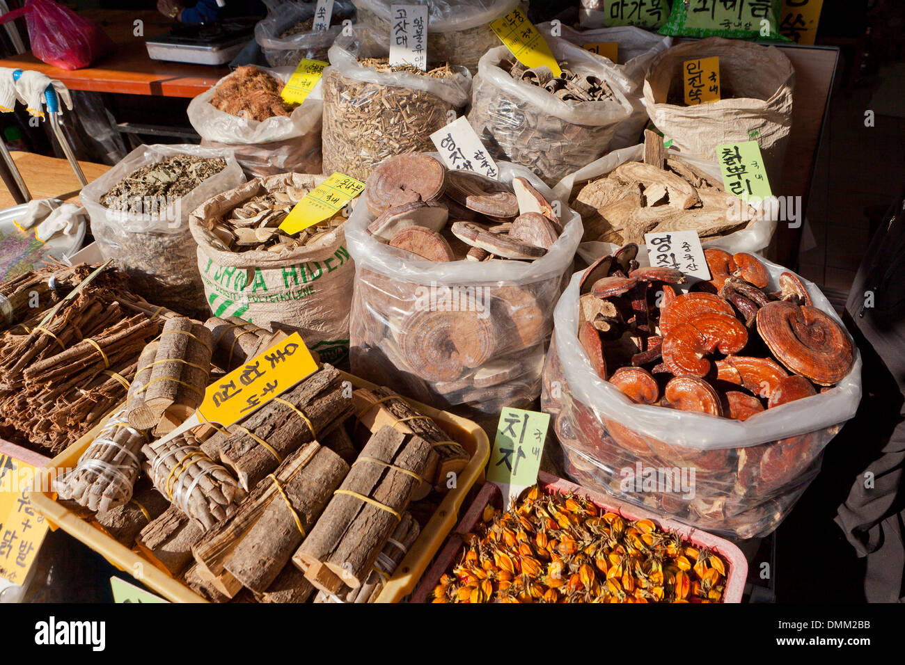 Tradizionale Coreana di medicina di erbe ingredienti al mercato - Busan, Corea del Sud Foto Stock