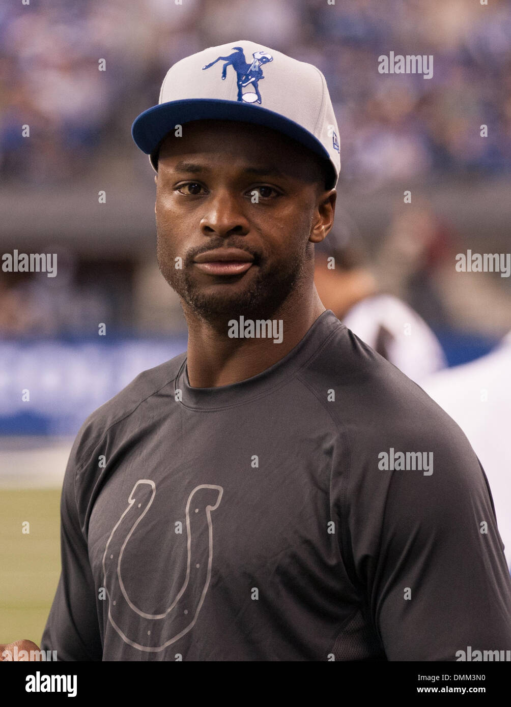 Indianapolis NEGLI STATI UNITI. 15 Dic, 2013. Indianapolis Colts wide receiver Reggie Wayne (87) sugli spalti durante il gioco di NFL tra Houston Texans e Indianapolis Colts a Lucas Oil Stadium di Indianapolis, IN. La Indianapolis Colts ha sconfitto la Houston Texans 25-3. Credito: csm/Alamy Live News Foto Stock