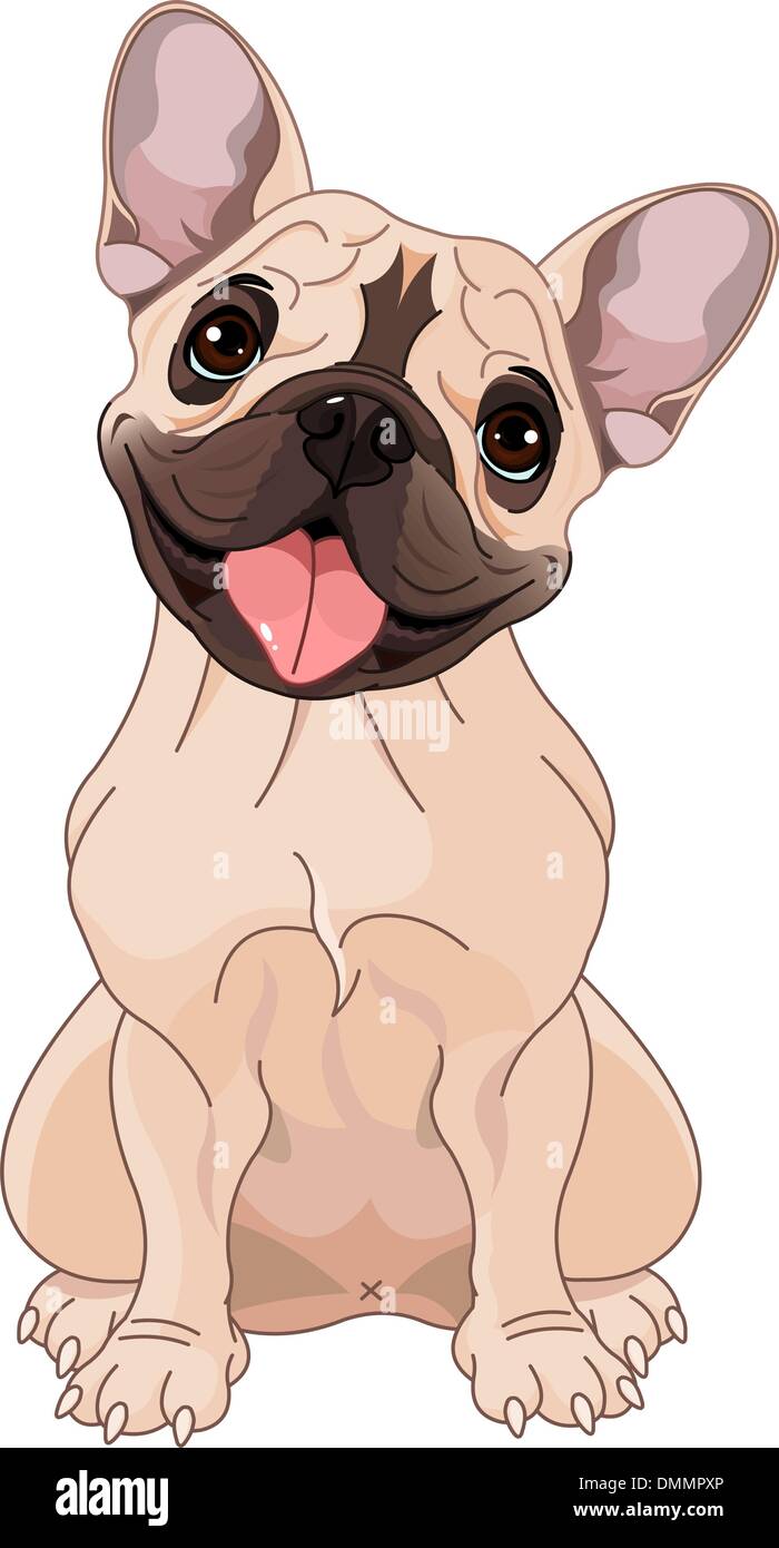 Fawn bulldog francese Illustrazione Vettoriale