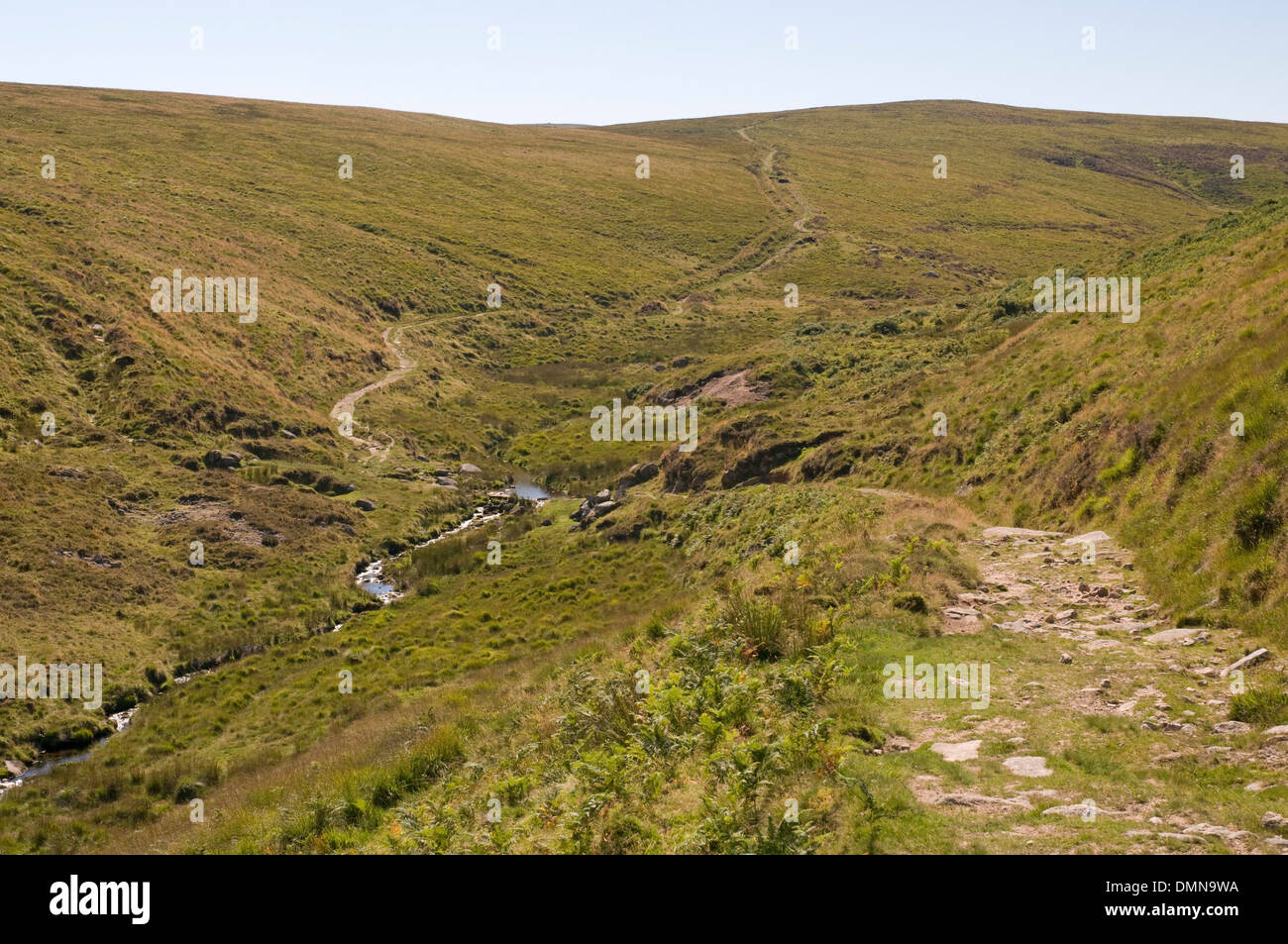 La valle del fiume Taw come fluisce attraverso Steeperton Gorge a circa due miglia a valle della sua fonte a Dartmoor Foto Stock