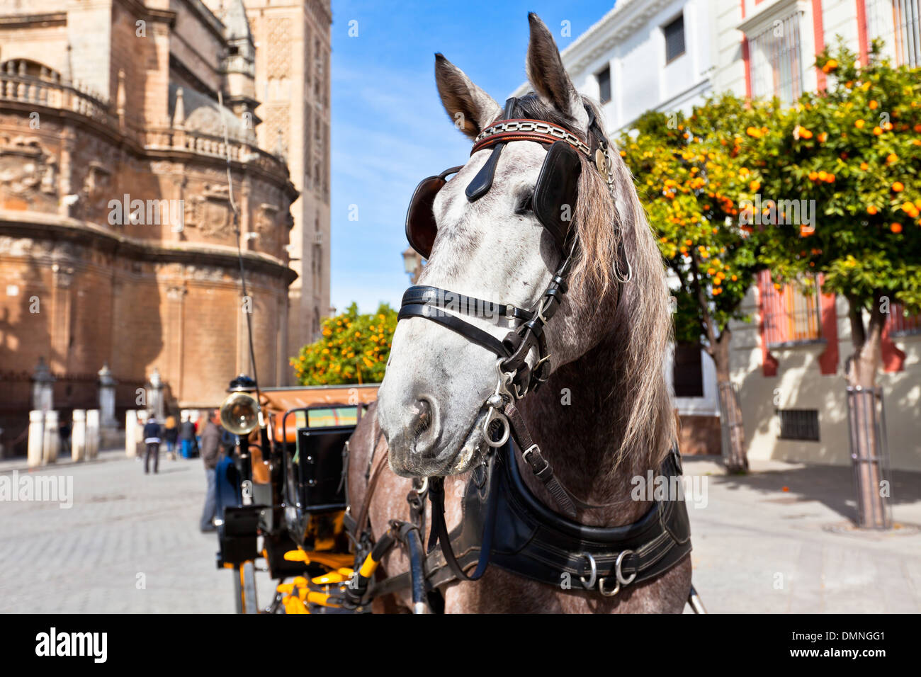 Il trasporto di cavalli per i turisti in Sevilla, Spagna. Inquadratura orizzontale Foto Stock