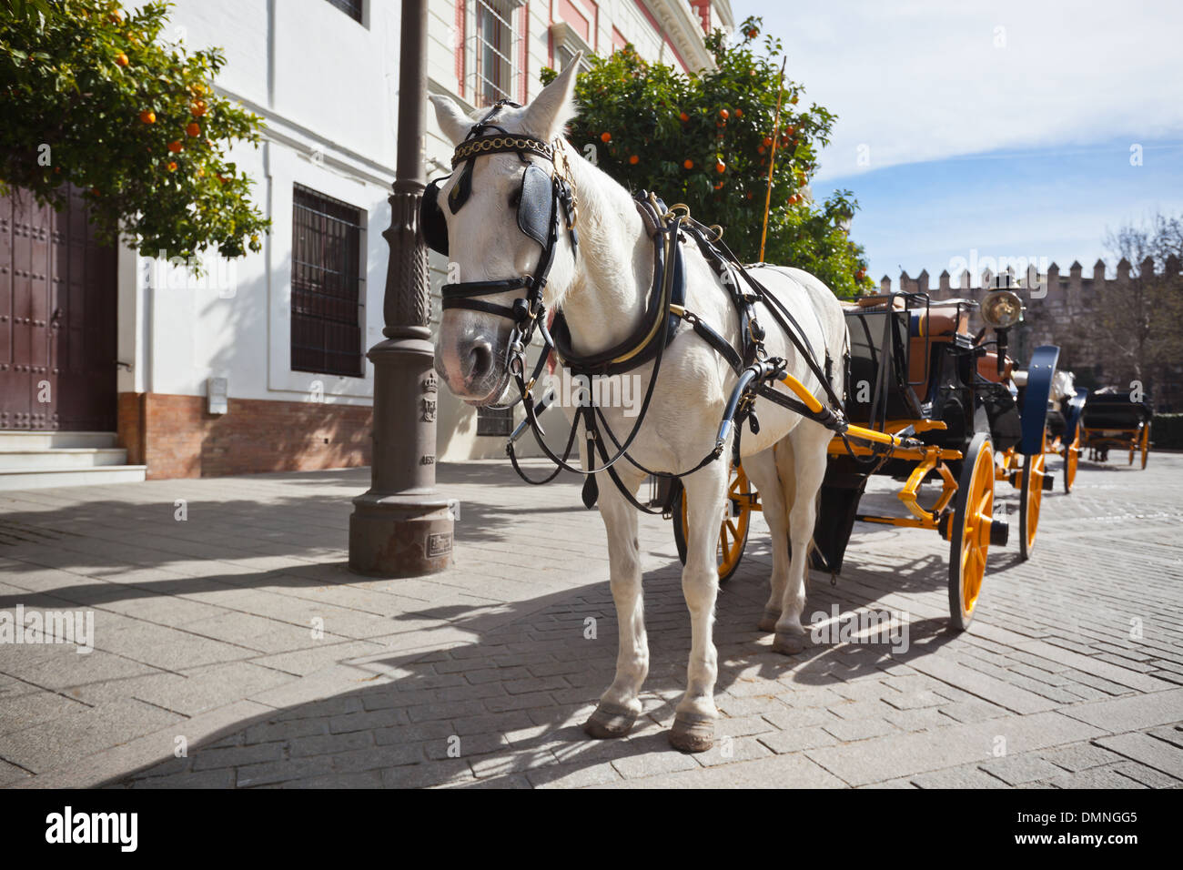 Il trasporto di cavalli per i turisti in Sevilla, Spagna. Inquadratura orizzontale Foto Stock