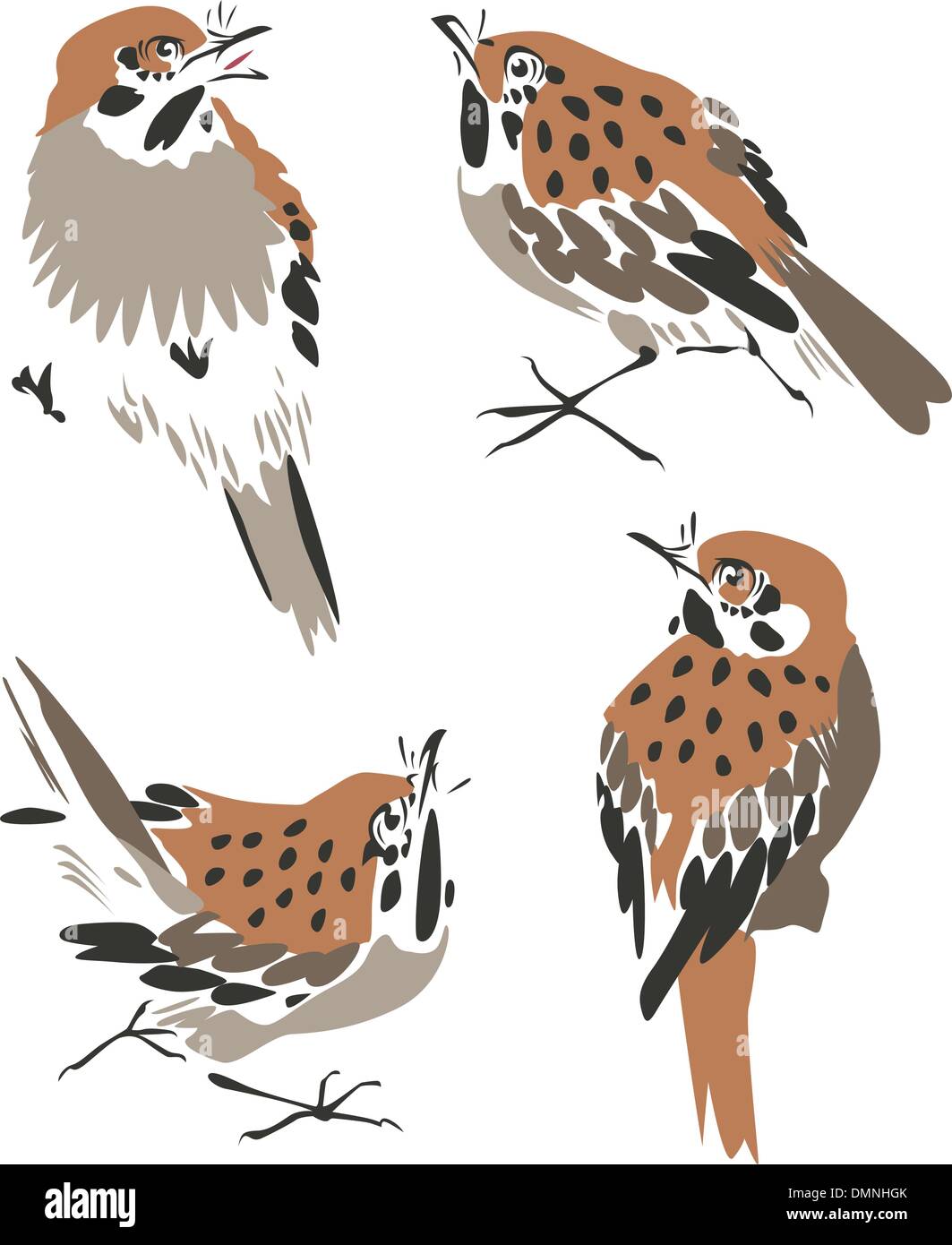La pittura di uccelli disegno a inchiostro Illustrazione Vettoriale