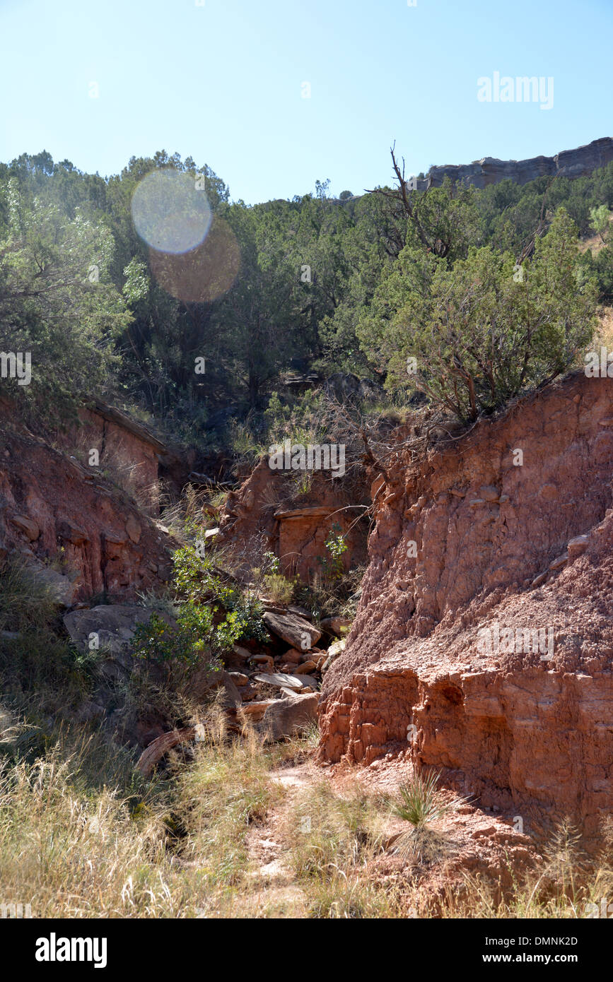 Terra rossa e le montagne in Palo Duro Canyon State Park nei pressi di Amarillo in Texas il Panhandle Foto Stock