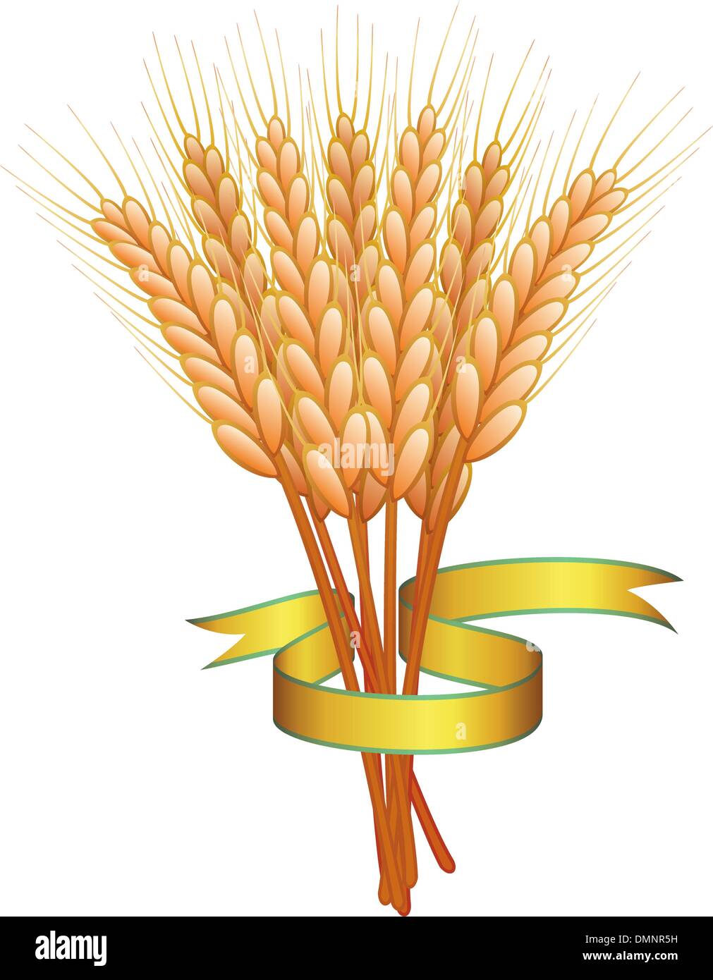 Vettore di spighe di grano e nastro d'oro Illustrazione Vettoriale