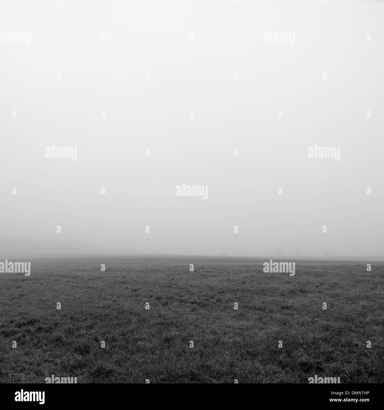 Campo nella nebbia Foto Stock