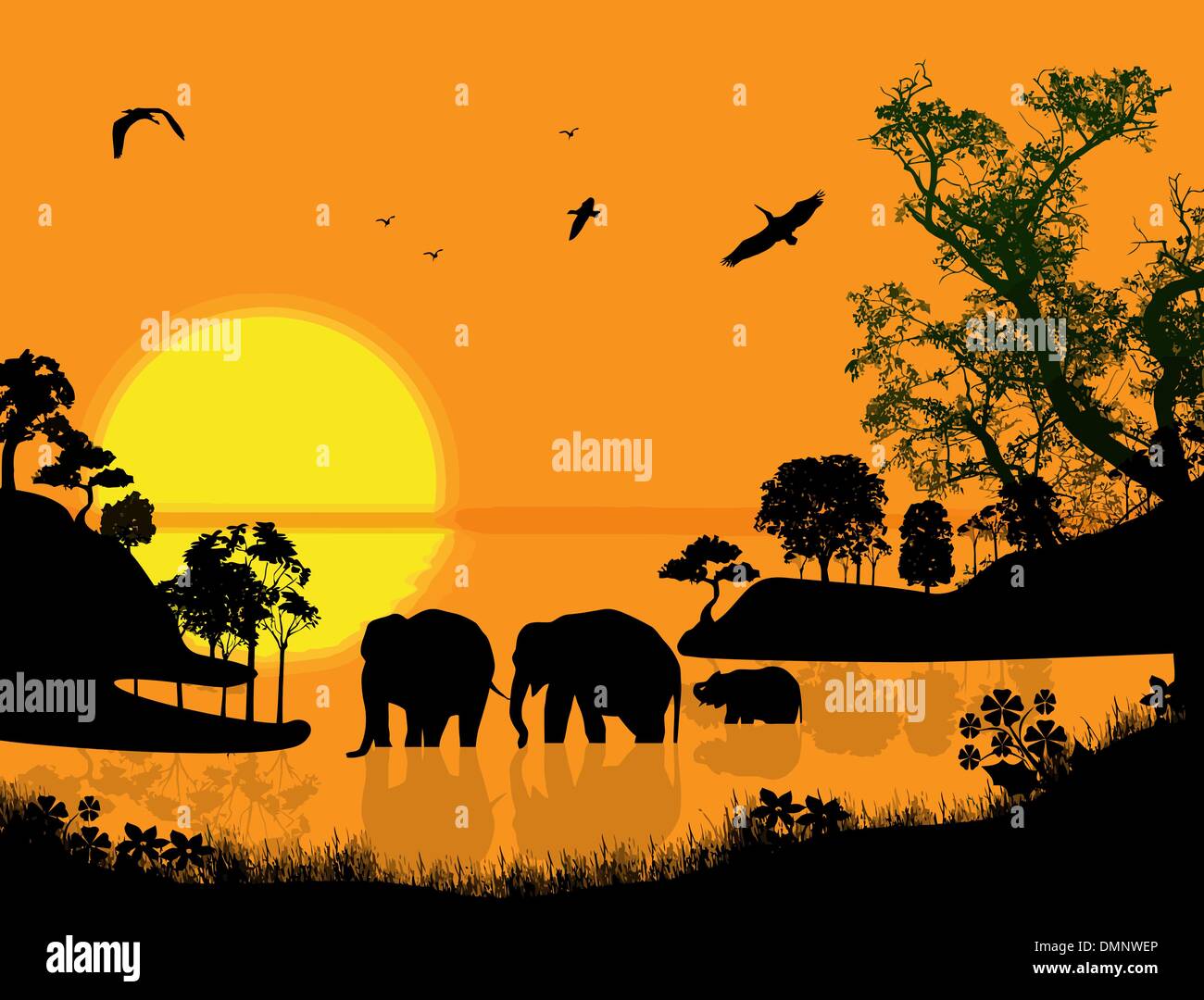 Gli elefanti nuota attraverso l'acqua Illustrazione Vettoriale