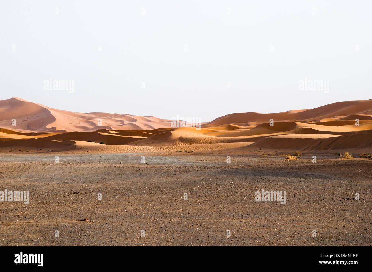 Merzouga, regione Meknès-Tafilalet, Errachidia Provincia, Marocco, Africa Foto Stock