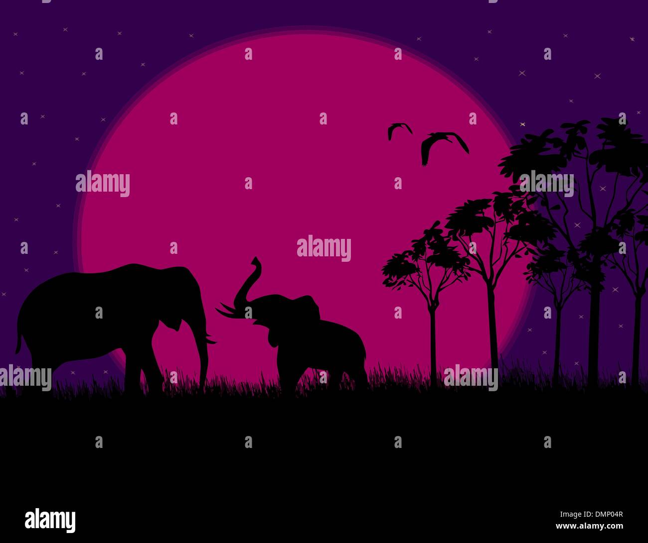Silhouette illustrazione di un due elefanti di notte Illustrazione Vettoriale