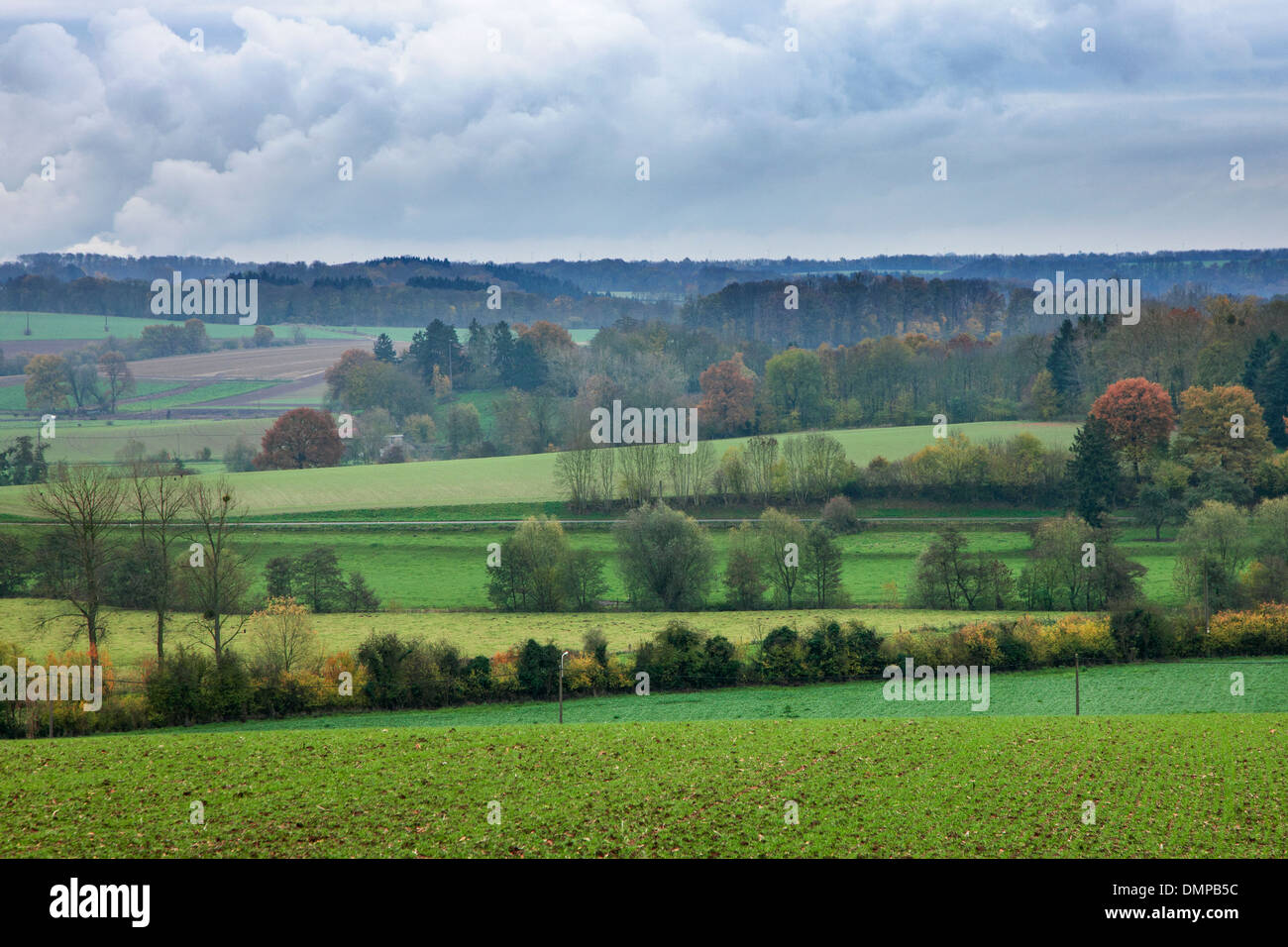 Paesaggio rurale delle Ardenne belghe che mostra i campi, prati, siepi e boschi in autunno, Belgio Foto Stock