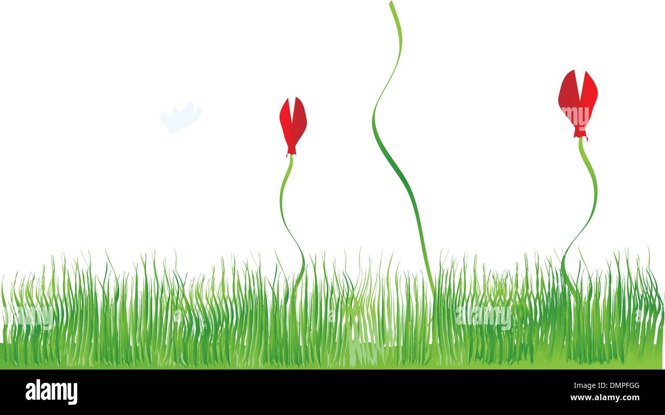 Sfondo di erba e fiori di colore rosso Illustrazione Vettoriale