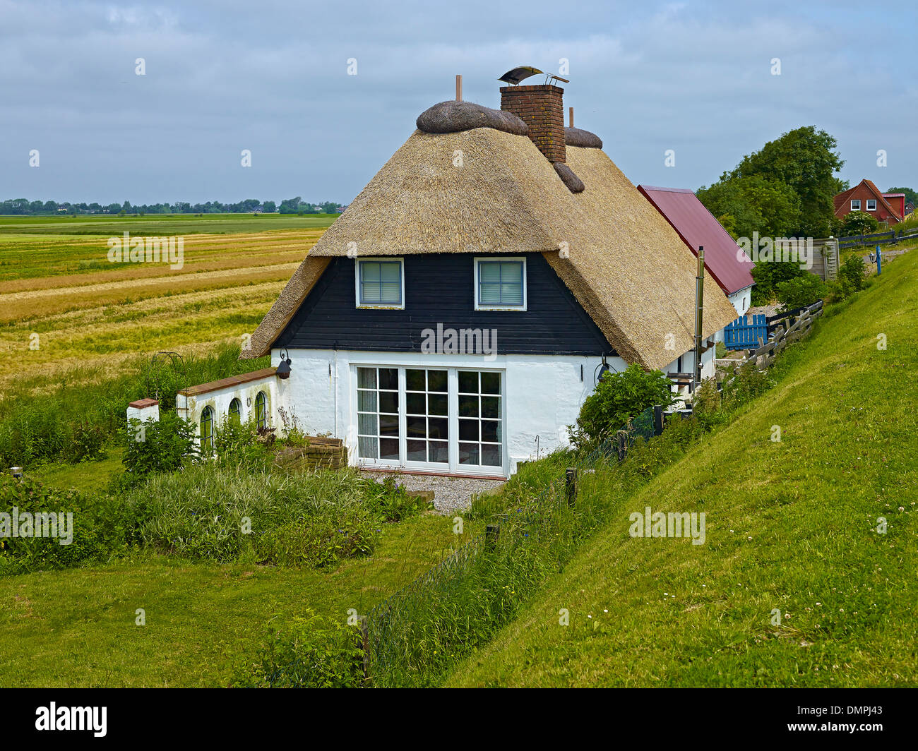Case dietro la diga, Nordstrand penisola, distretto di Nord Friesland, Schleswig-Holstein, Germania Foto Stock