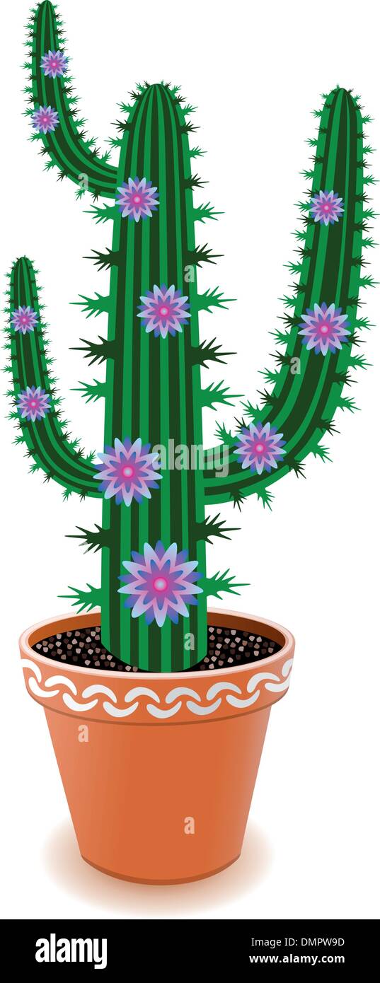 Vettore pot cactus Illustrazione Vettoriale
