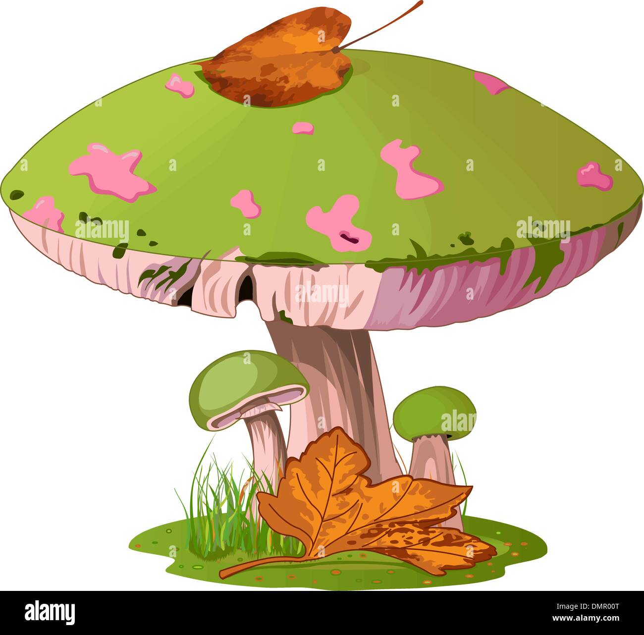 Funghi Illustrazione Vettoriale