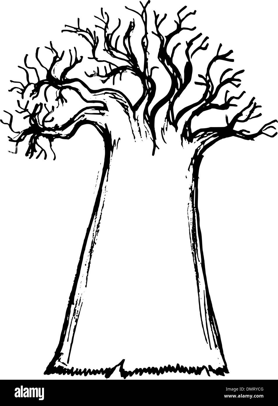 Baobab Illustrazione Vettoriale