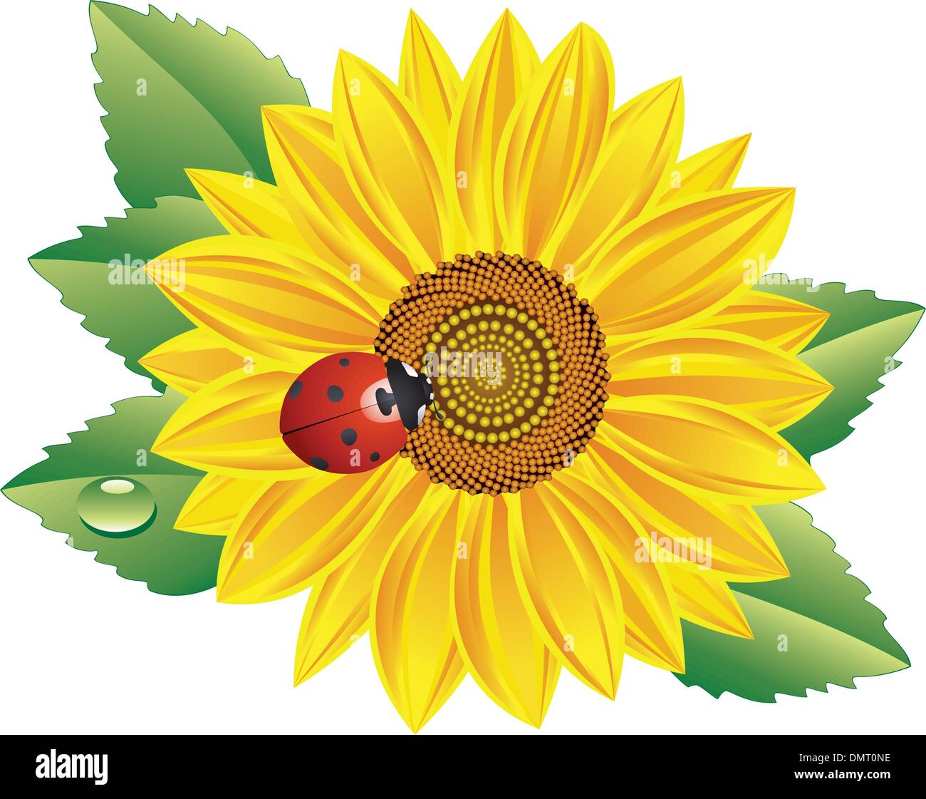 Semi di girasole e rosso coccinella Illustrazione Vettoriale