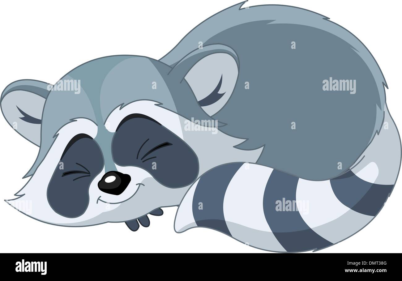 Funny sleeping cartoon raccoon Illustrazione Vettoriale