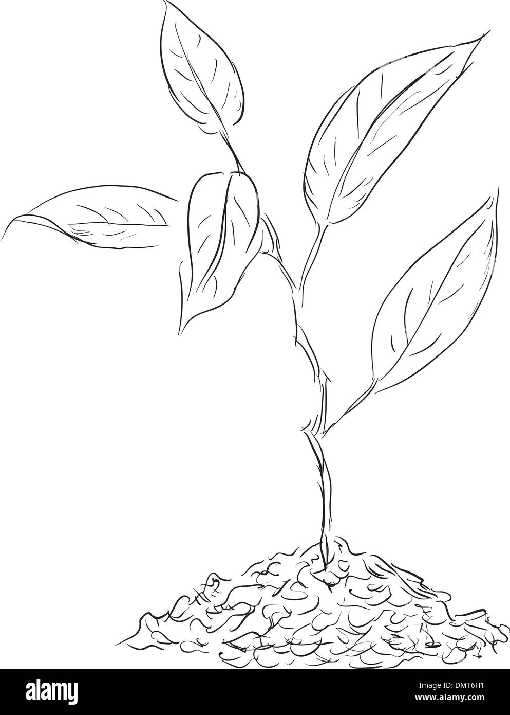 La figura ramoscelli germoglio Illustrazione Vettoriale