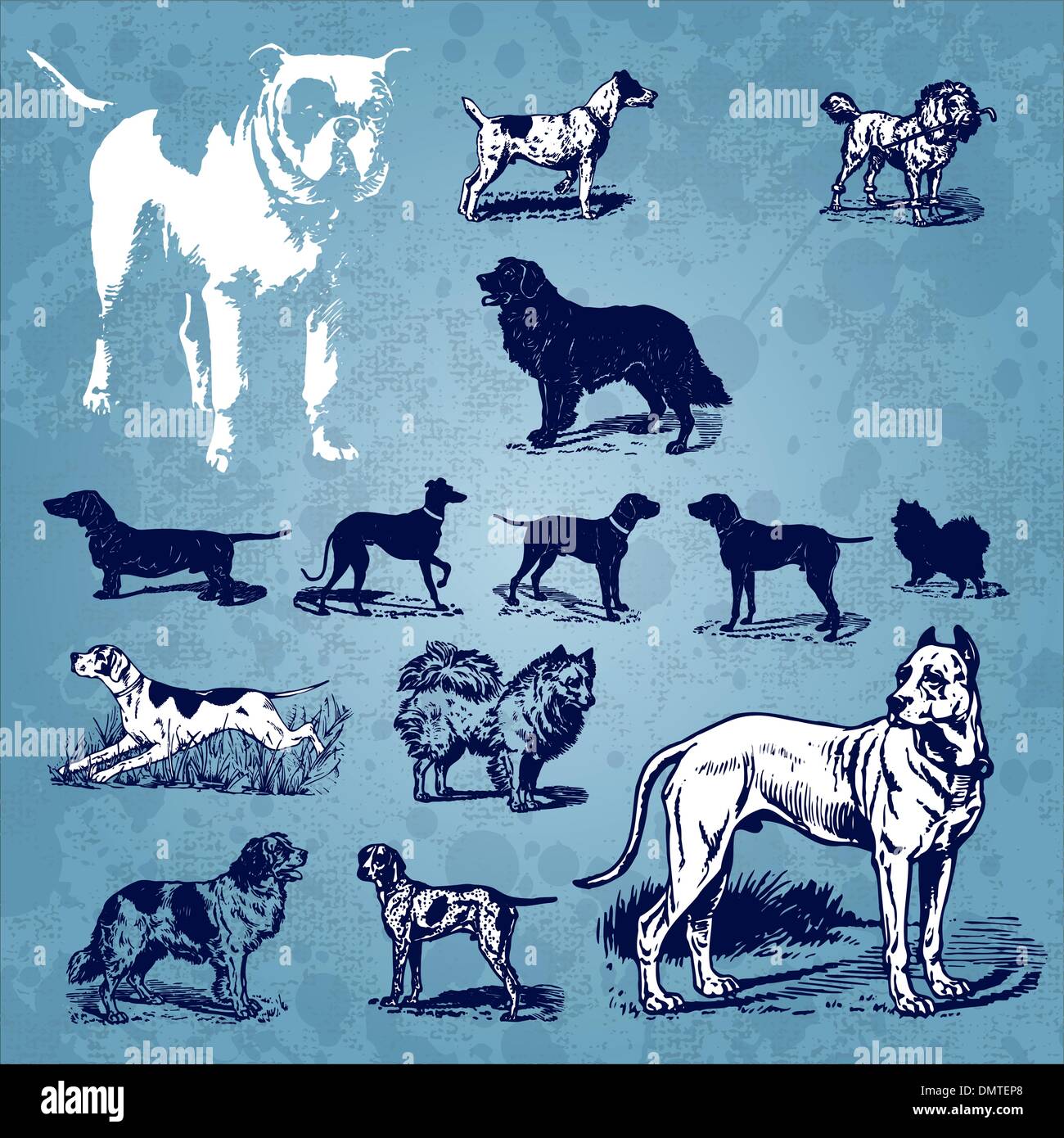 Cani set vintage (vector) Illustrazione Vettoriale