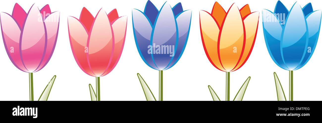 Vettore mazzo di tulipani colorati Illustrazione Vettoriale
