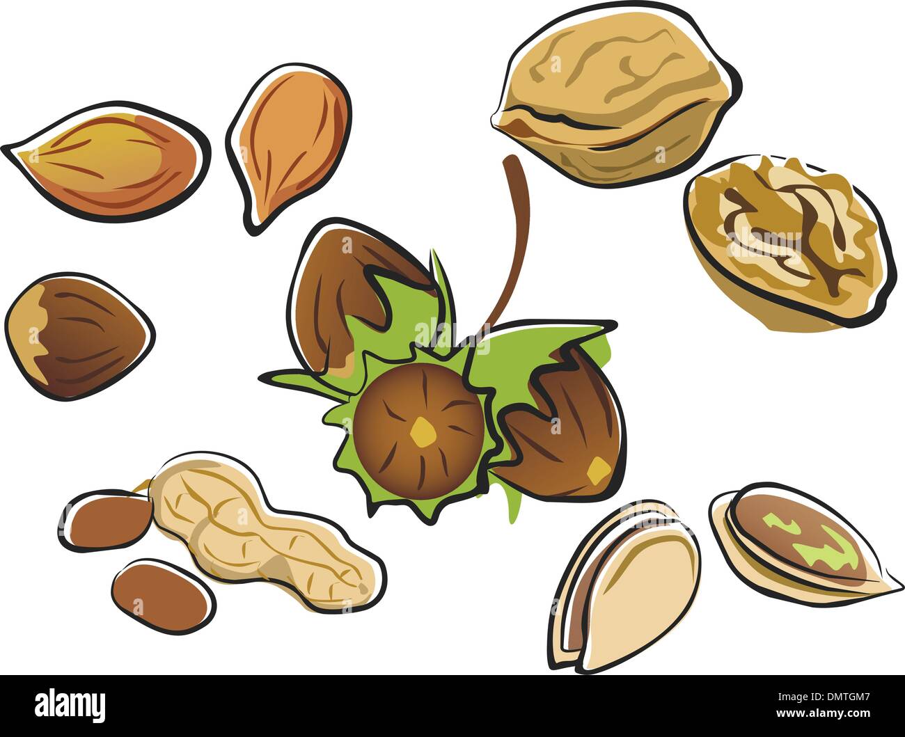 Accumulazione Nuts Illustrazione Vettoriale