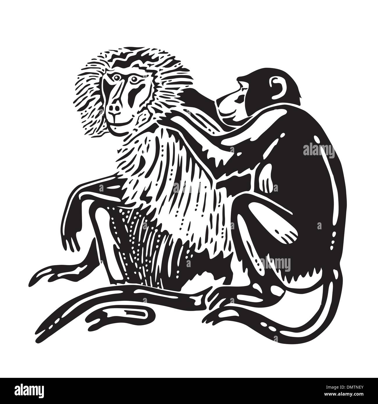 Scimmie Illustrazione Vettoriale