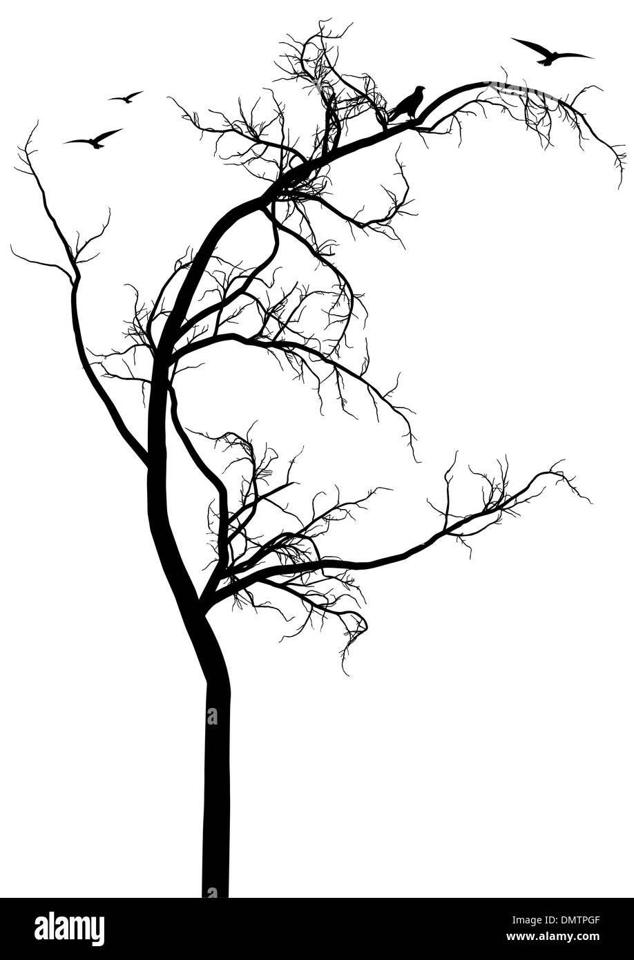 Albero nero silhouette, vettore Illustrazione Vettoriale