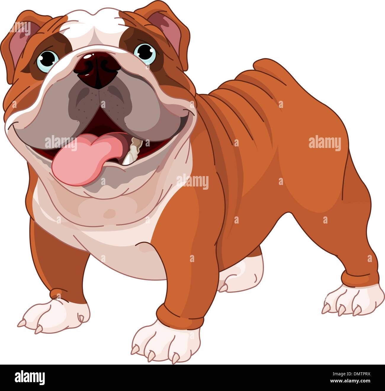 Bulldog inglese Illustrazione Vettoriale