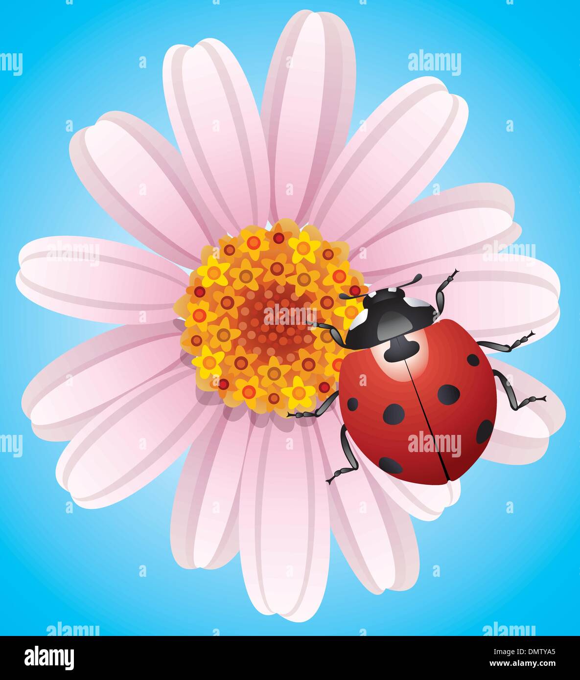 Fiore di vettore e coccinella Illustrazione Vettoriale