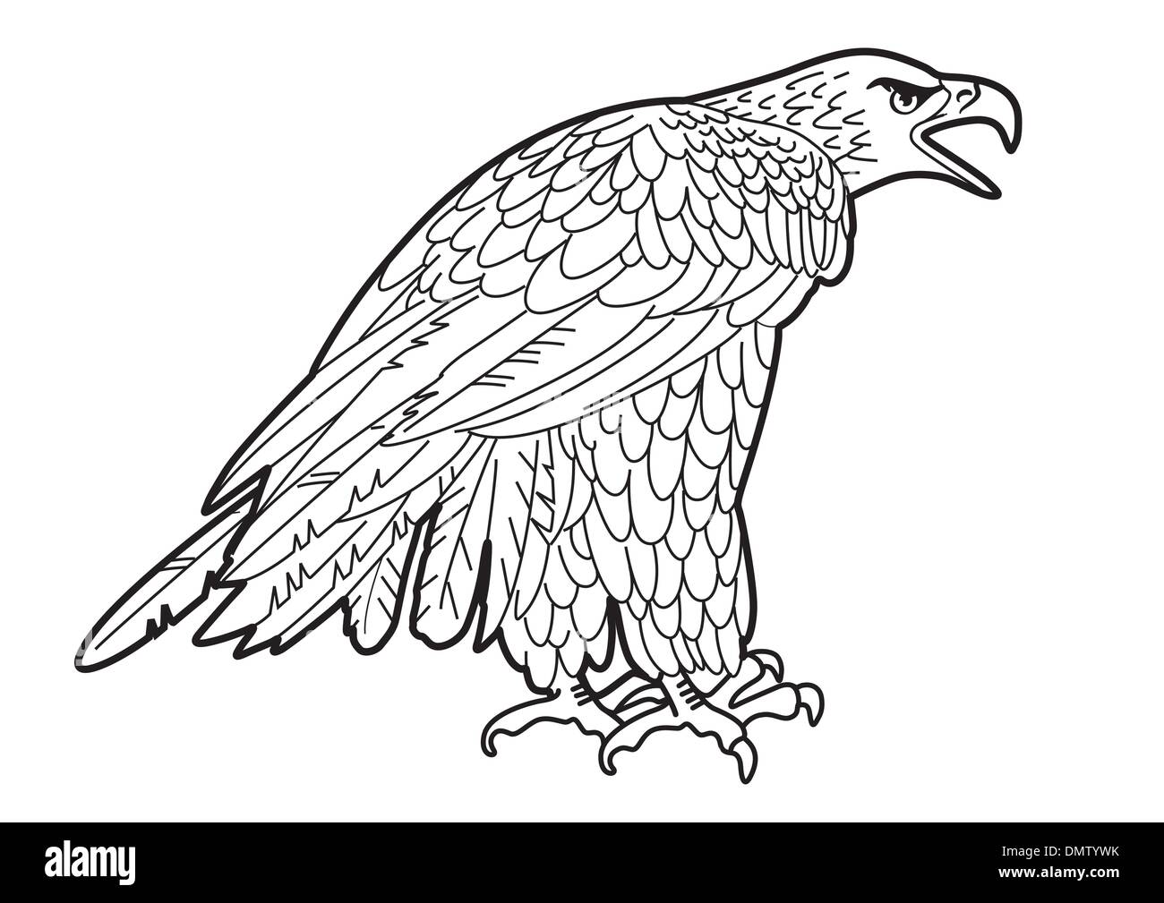 grafica di Eagle Illustrazione Vettoriale