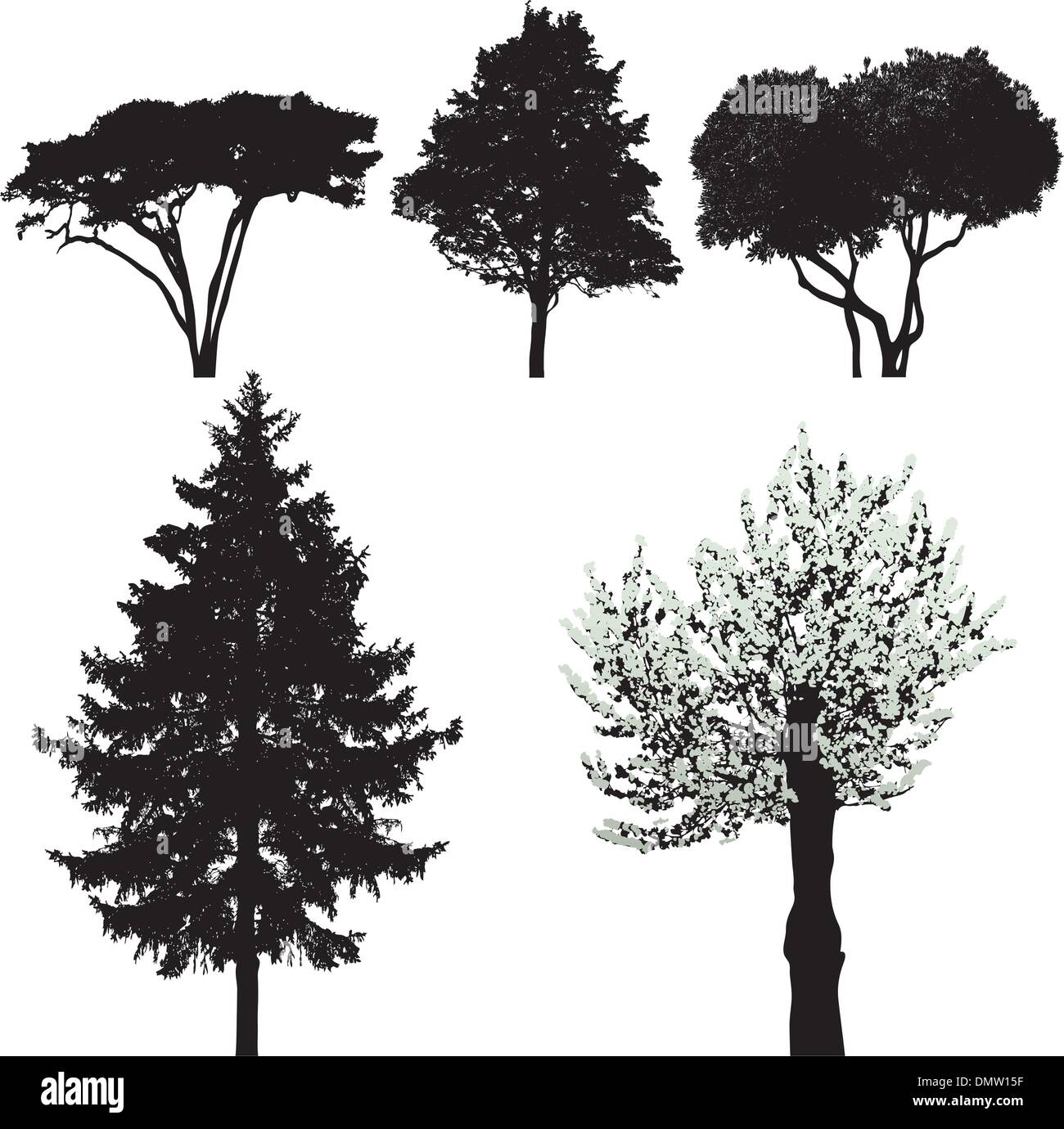 Alberi - set di vettore Illustrazione Vettoriale