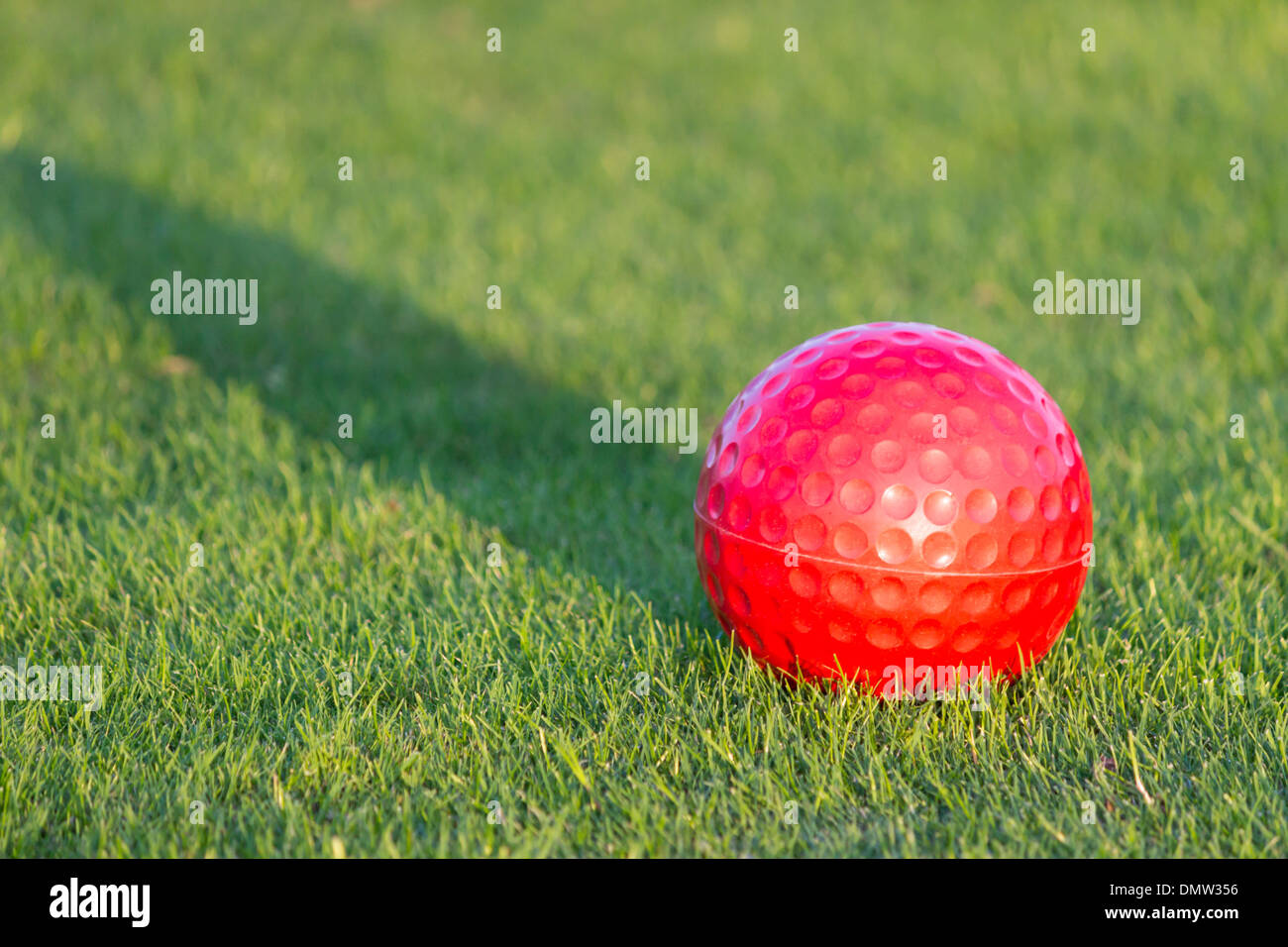 Red pallina da golf su erba del campo da golf Foto Stock
