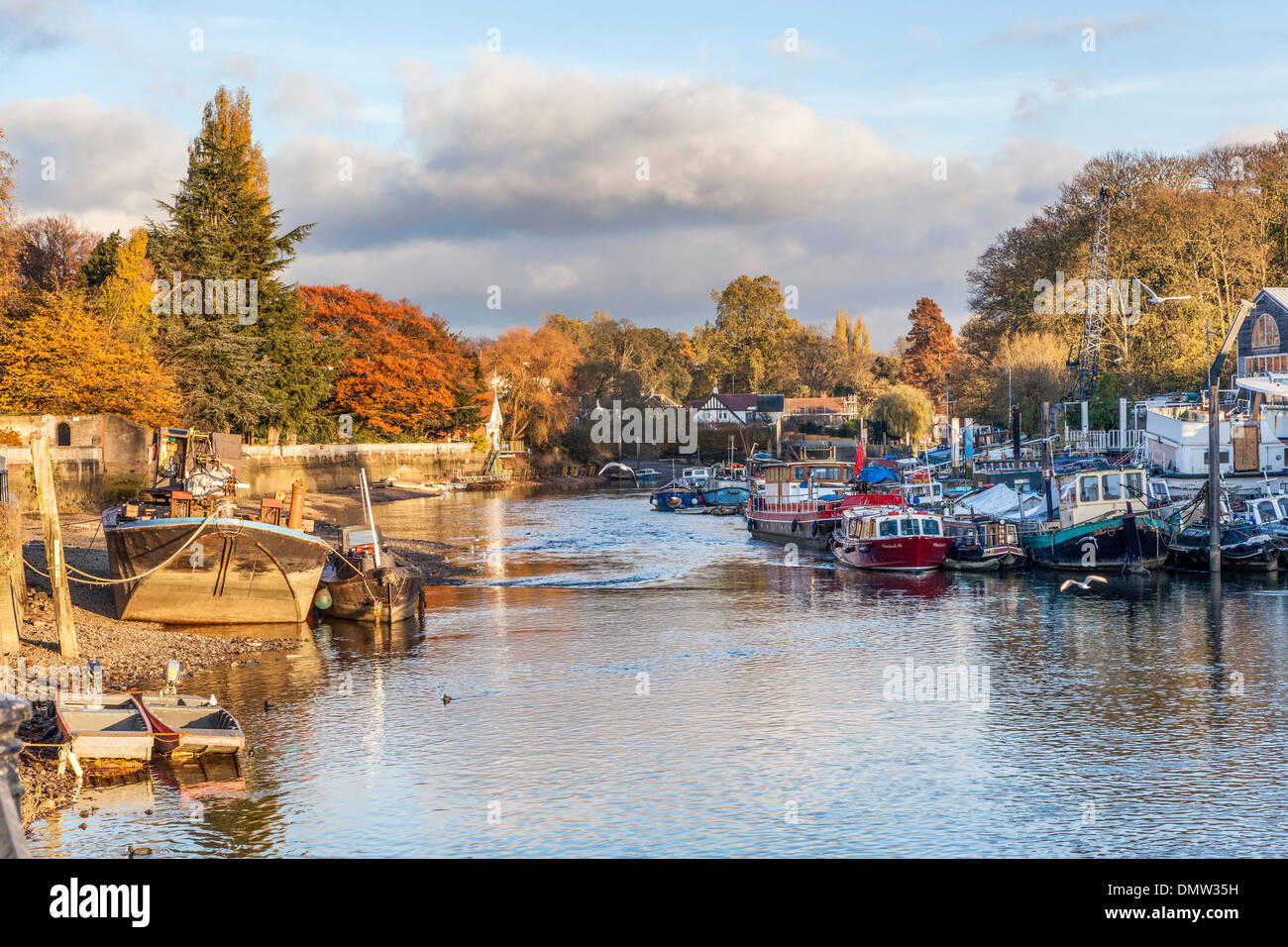 Sul fiume Tamigi con la bassa marea nel corso annuale di prelevare le foglie a filamento barche - Twickenham riverside sulla sinistra e torta di Anguilla isola sulla destra Foto Stock