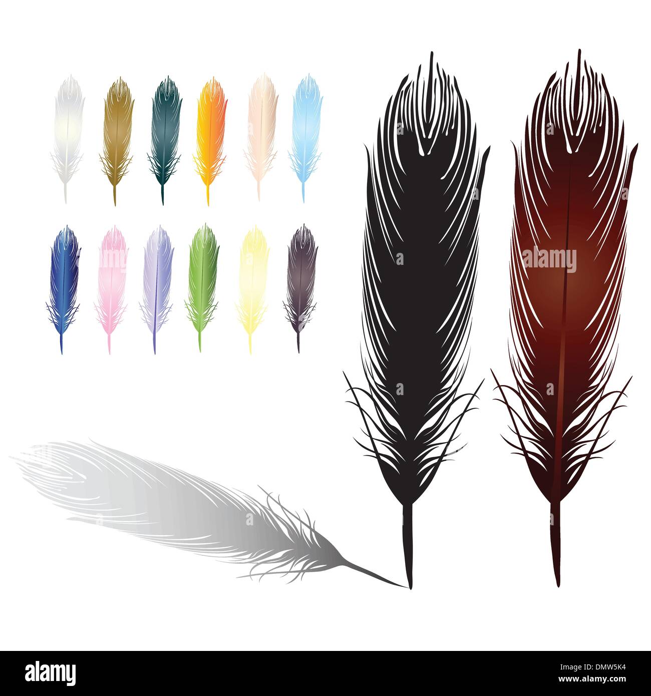 Piume collezione colorata Illustrazione Vettoriale